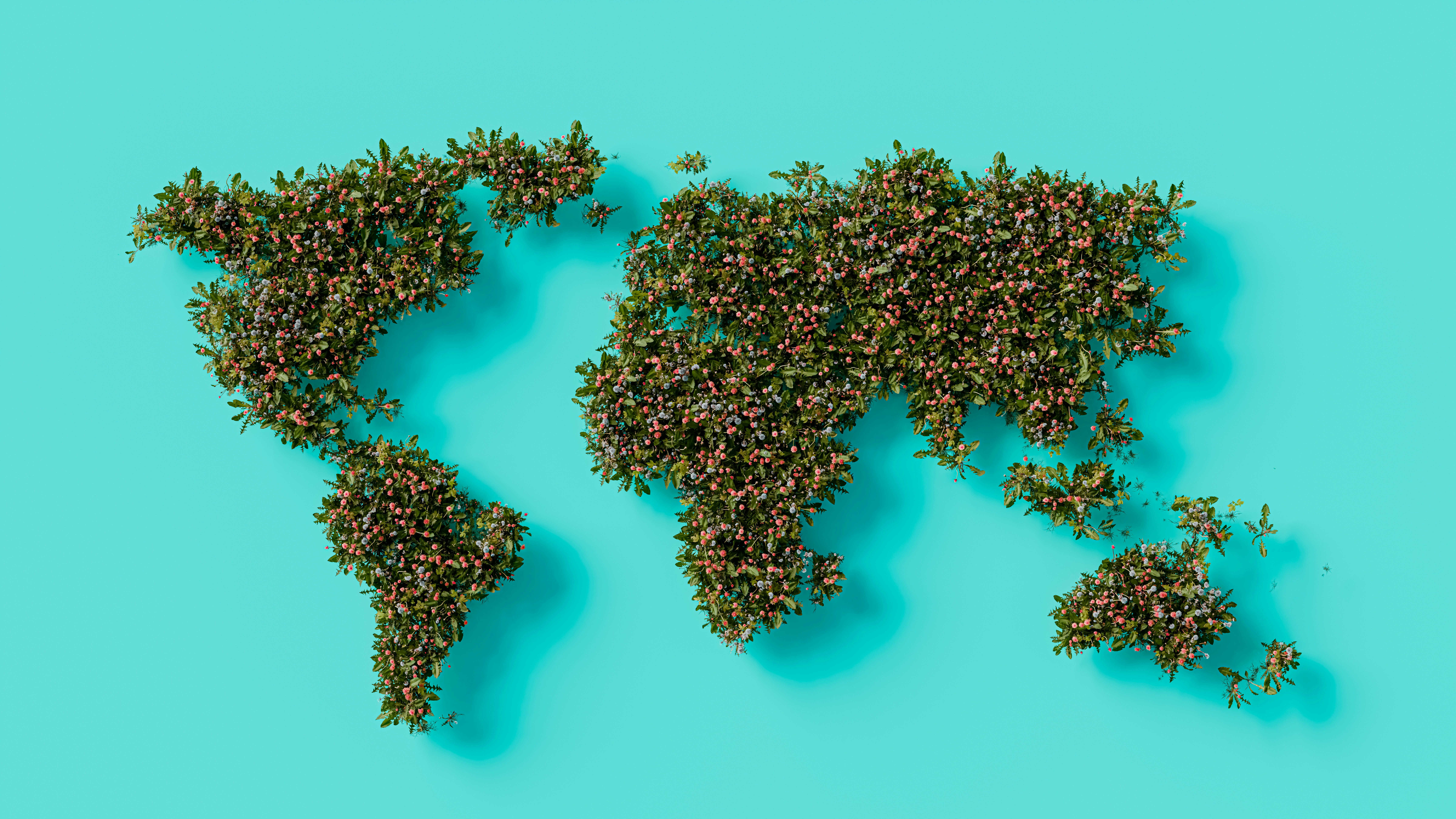 Our Global Presence